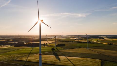 Windräder stehen auf Feldern (dpa)