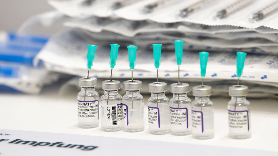 Campaña de vacunación: no funcionará sin veterinarios y farmacéuticos |  hessenschau.de