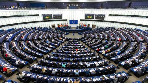 EU-Parlament in Straßburg (dpa)