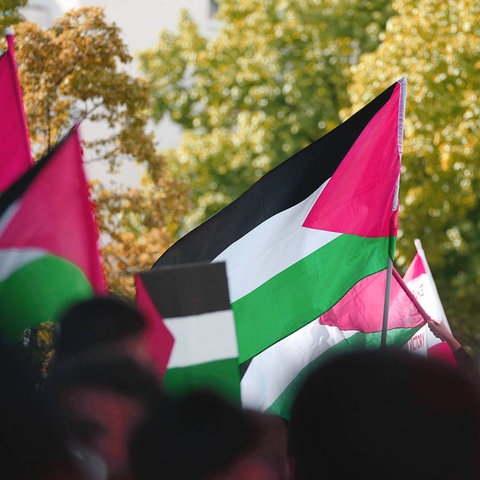 Archivbild: Bei einer Pro-Palästina-Demo in Berlin werden Palästina-Flaggen geschwenkt. (Quelle: imago images/Geisler)