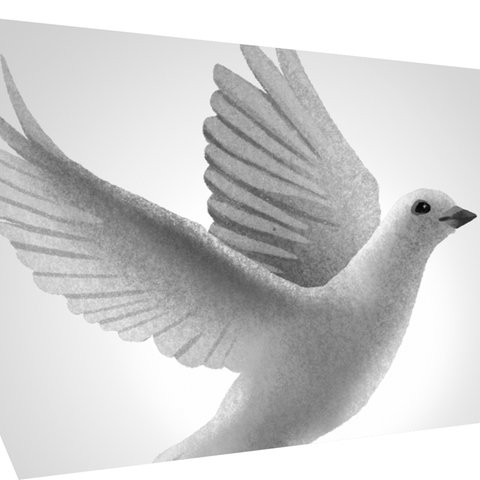 Friedenstaube im Bildungsbox Logo