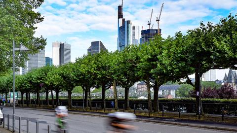 Die Frankfurter Skyline, davor Profi-Radrennfahrer