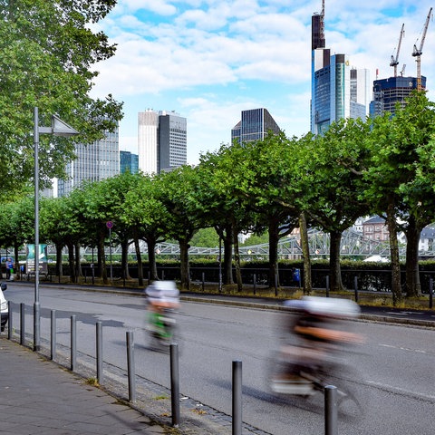 Die Frankfurter Skyline, davor Profi-Radrennfahrer