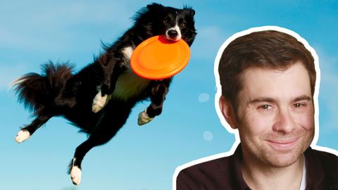 hr-Regionalreporter Roman Warschauer Collage mit Hund und Frisbee 