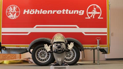 Otto im Feuerwehrhaus Breitscheid