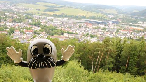 Onkel Otto blickt vom Eduardsturm auf Haiger