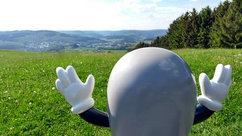 Onkel Otto von hinten auf einer grünen Wiese in der Sonne