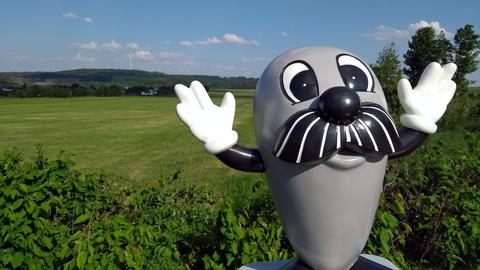 Onkel Otto auf einer grünen Wiese